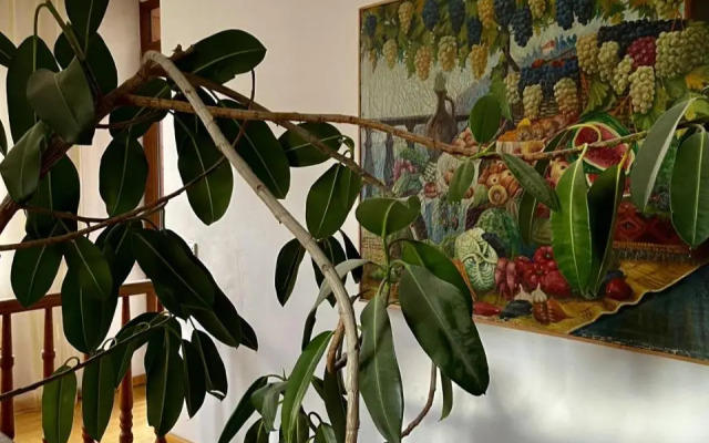 Guest House In Borjomi