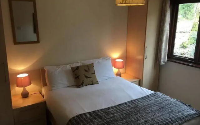Wren 21-Hot Tub-Woodland Lodges-Tenby-Camarthenshire