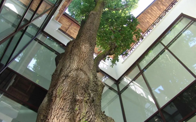 St. George Family & Senior Spa Ciechocinek