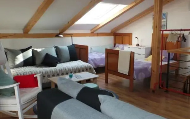 Jankoviceva cesta 19