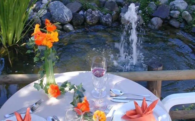 Wanderhotel Grüner Baum