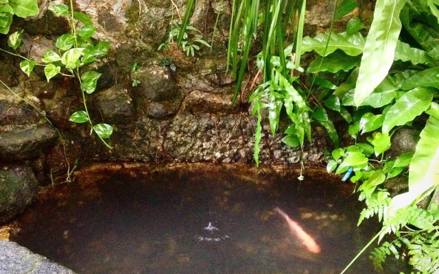 Khaolak Inn