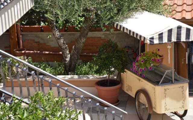 Hotel Maximo