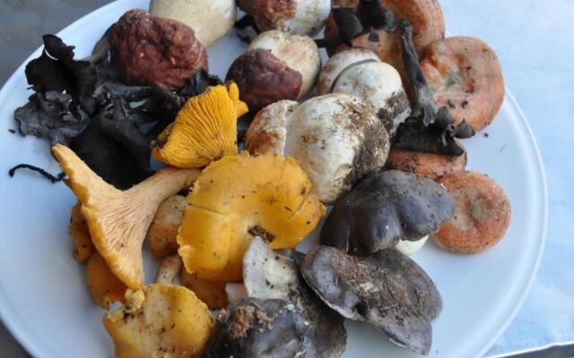 Casa Rural Las Janonas