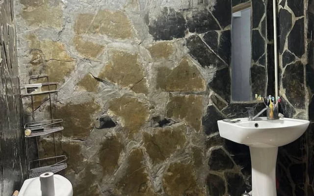 Qvis sakhli