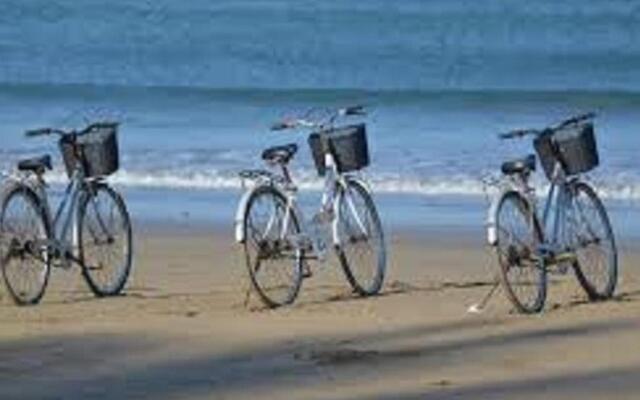 Appartement Arcachon, 2 pièces, 4 personnes - FR-1-374-10