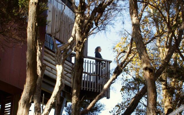 Hapuku Lodge & Tree Houses