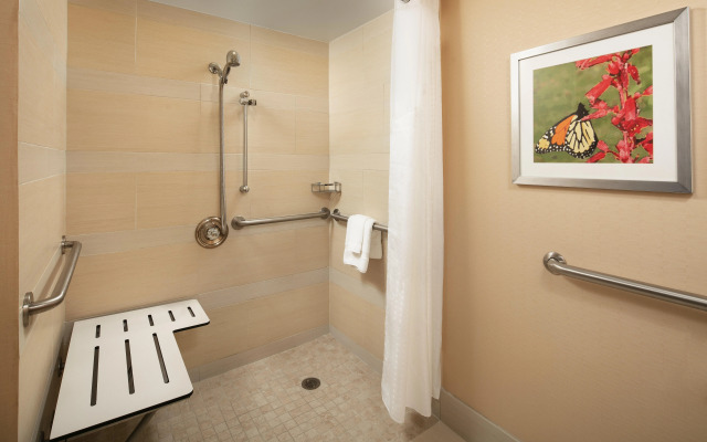 Holiday Inn Austin -Town Lake by IHG