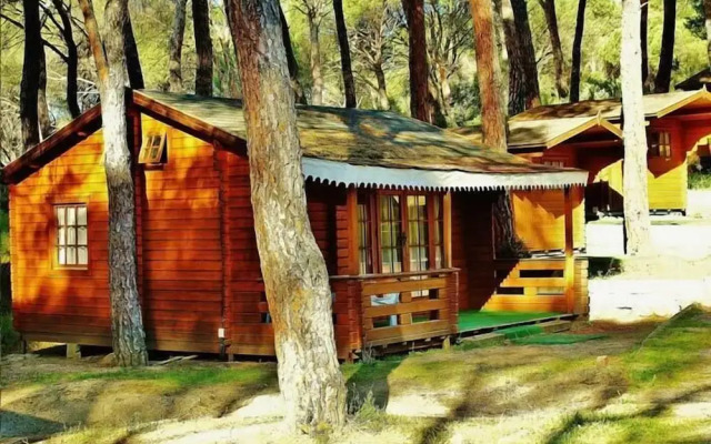Camping La Ardilla Roja
