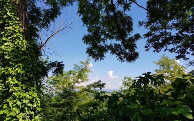 La Collina dei Passeri