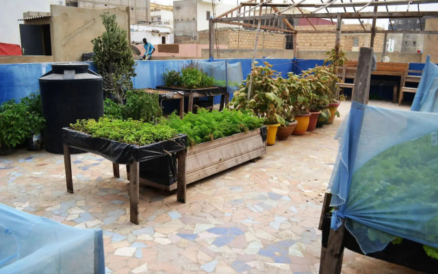 ViaVia Senegal Dakar - Hostel/Backpacker