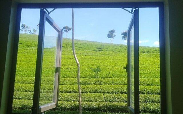 Homestay Làng Chè 69