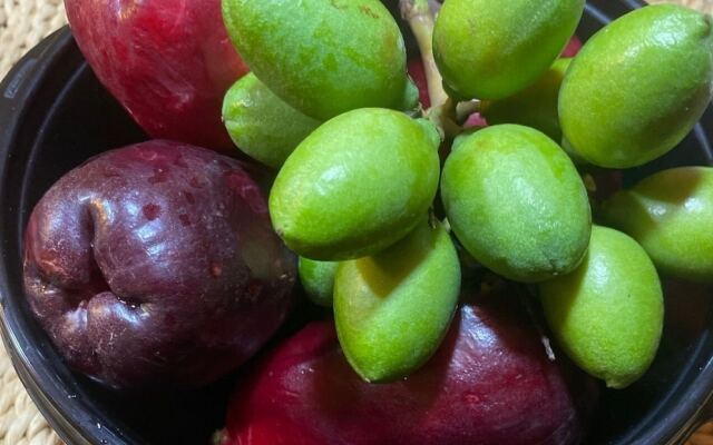 Mystic Ridge Resort Apt 57