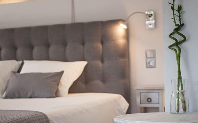 Zennova 20 Dream Nest Studio