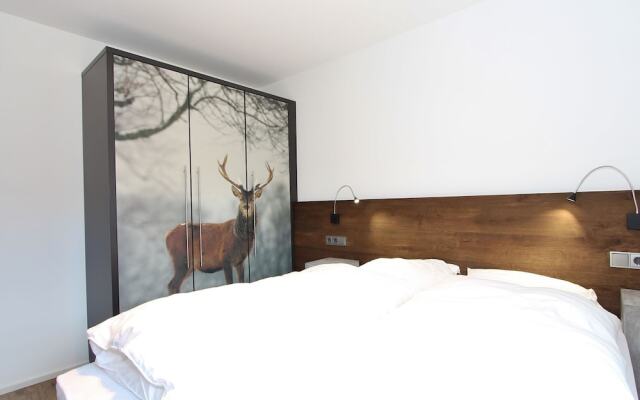 Modern Apartment Near the ski Area