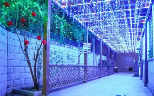 Xinyu Homestay