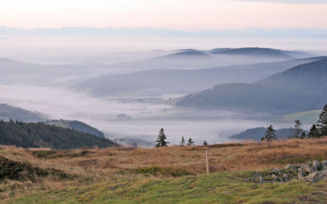 Schwarzwaldblick