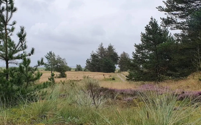 4 Person Holiday Home in Oksbol