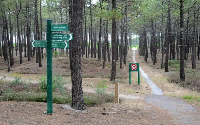 Appartement près lac et océan