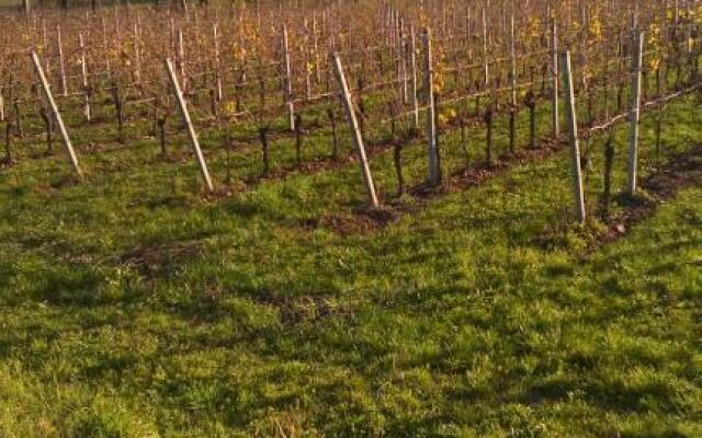 ACERO ROSSO B&B in Franciacorta