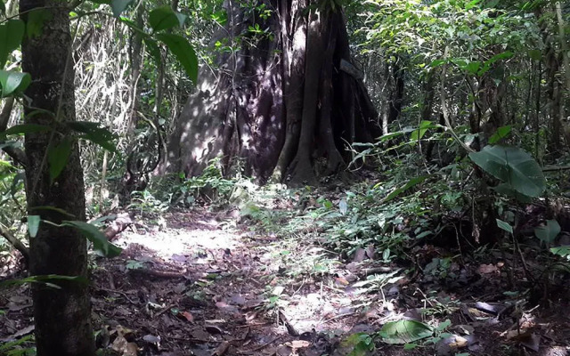 Villas Cipreses - Hostel