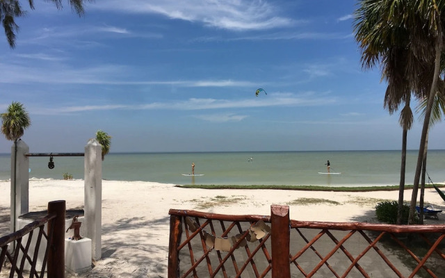 ikarus kiteboarding