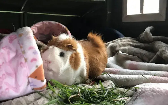 Tailor Made Tekapo - Hostel