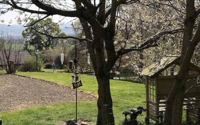 Winkston Courtyard Cottages