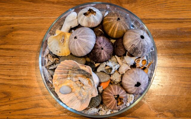 Terraços do Mar 1 by MP