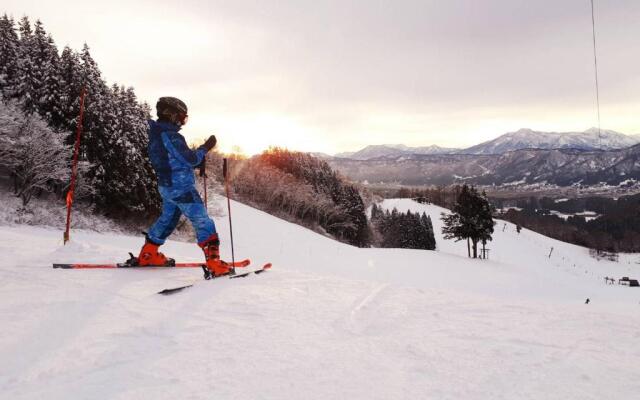Address Nozawa