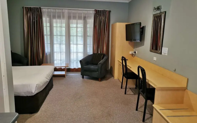 Poplars at Mittagong