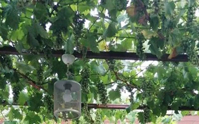 Assos Agura Pansiyon