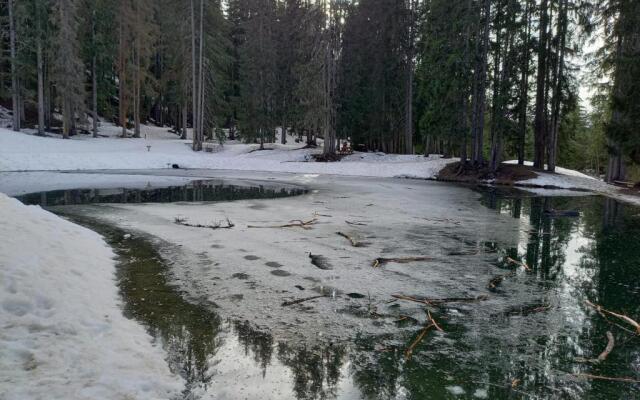 Le Calao - appartement au Val d'Arly
