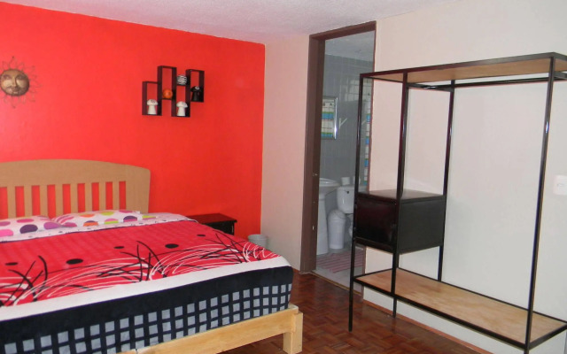 B&B México Roma Norte