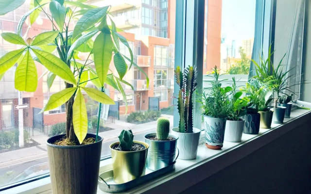 Home in Downtown