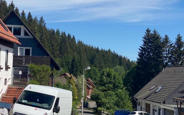Beautiful 1-bed House in Altenau