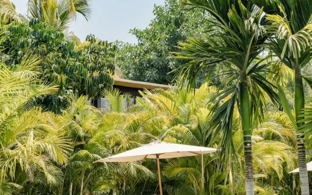 Soul Spring Sanctuary Cuernavaca