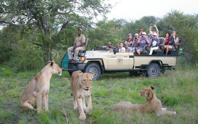 Mohlabetsi Safari Lodge