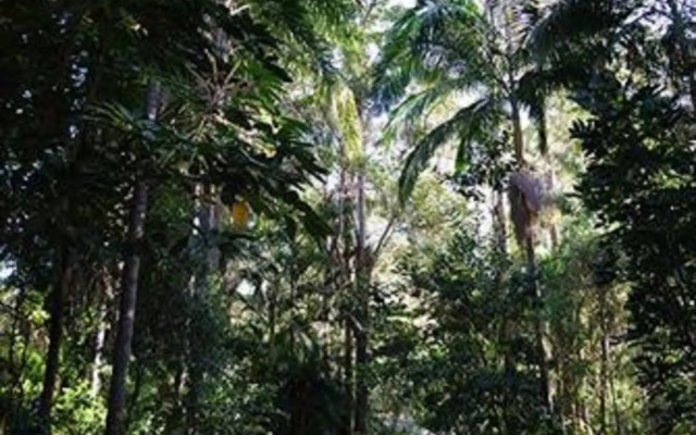 Rumbalara Bed and Breakfast