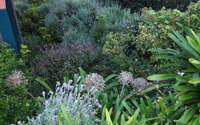 Bellevue Boutique Hotel