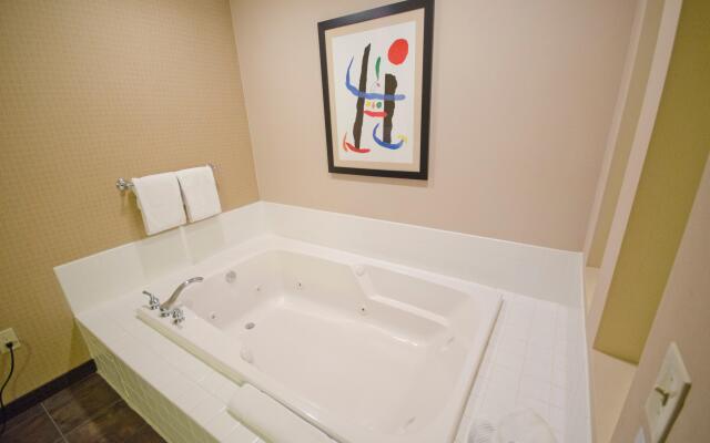 Holiday Inn Hotel & Suites St. Paul NE - Lake Elmo by IHG