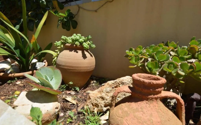 Olive Oil Residence