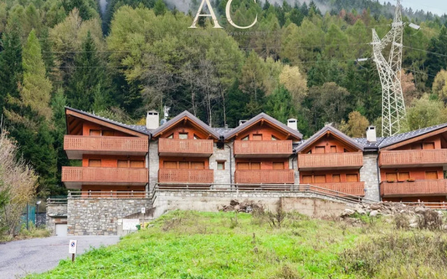 Woodpecker s Chalet in Tem