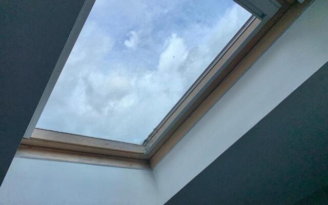 50 Shades of Color #C5