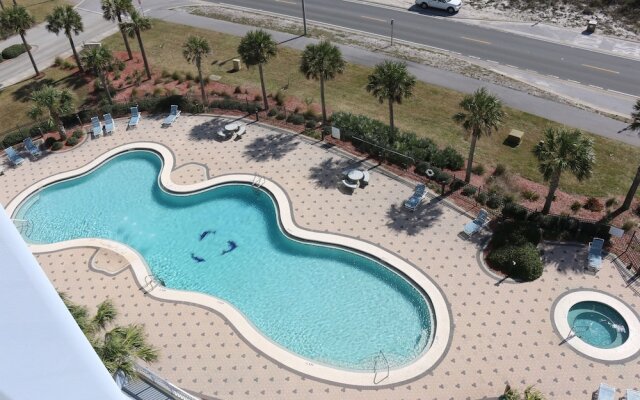 Emerald Dolphin by Surfside VR