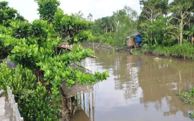 Minh Viet Homestay