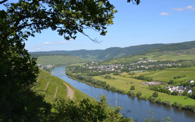 Weingut Mathy-Schanz
