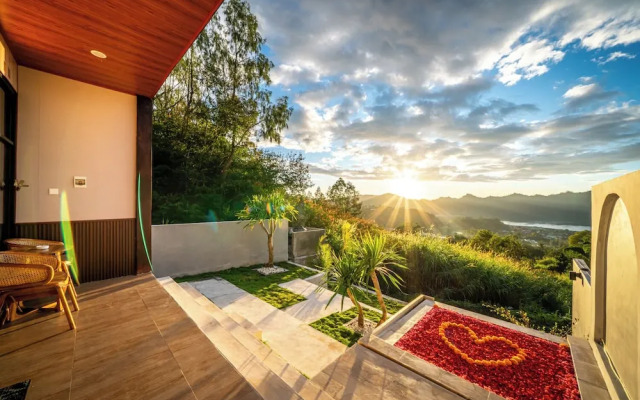 The Jungle Sunrise