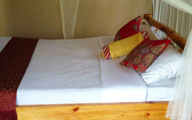 Songbird safari lodge