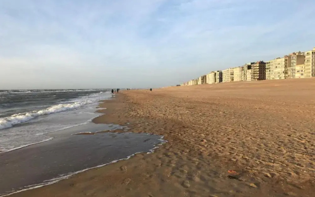 Apartment in Zeedijk With Sea View